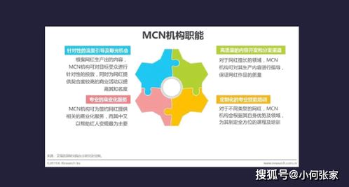 抖贊科技文化傳媒 用鏡頭記錄時(shí)代，以專業(yè)演繹視覺藝術(shù)