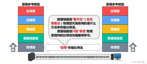 計算機(jī)網(wǎng)絡(luò)之物理層 信息管理與服務(wù)的基礎(chǔ)基石