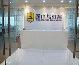 啄木鳥教育 無資質留學中介服務背后的自費留學隱憂